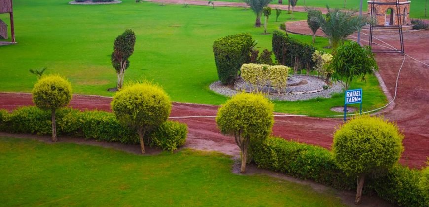 BARKI ROAD FARMHOUSE 67