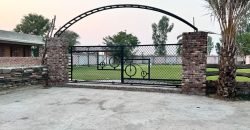 FEROZPUR ROAD FARMHOUSE 114