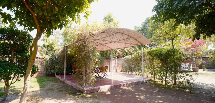 RAIWIND ROAD FARMHOUSE 128