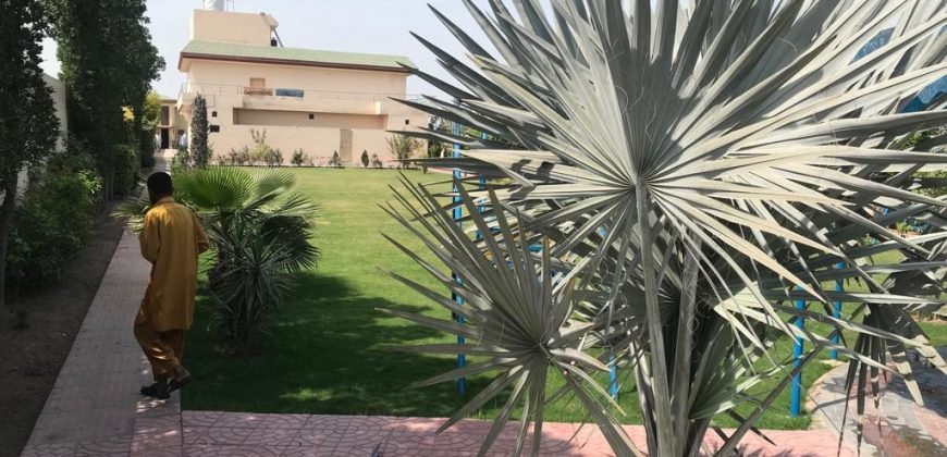 BARKI ROAD FARMHOUSE 104