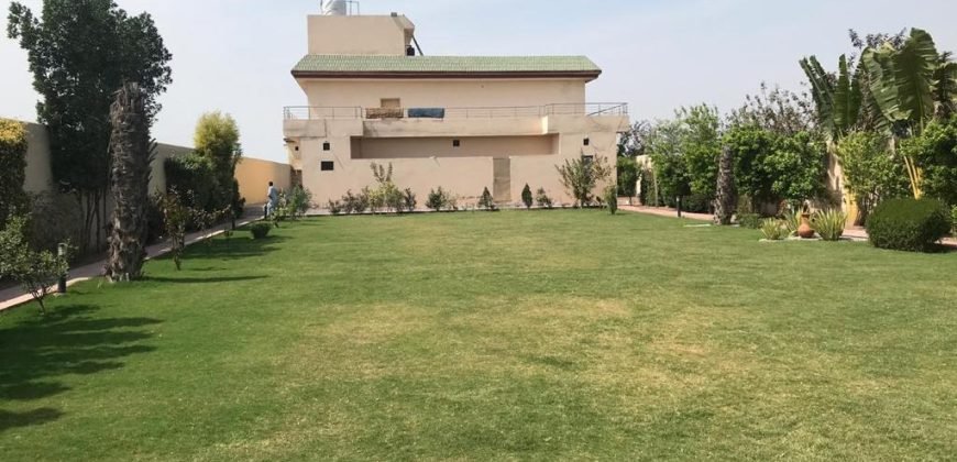 BARKI ROAD FARMHOUSE 104