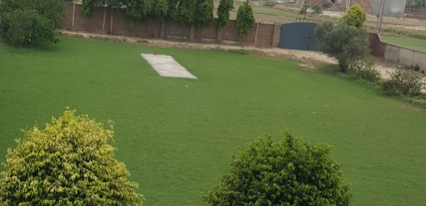 SWIMMING POOL  RAIWAND ROAD 95