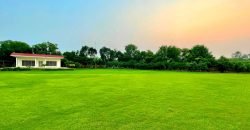 RAIWIND ROAD FARMHOUSE 53