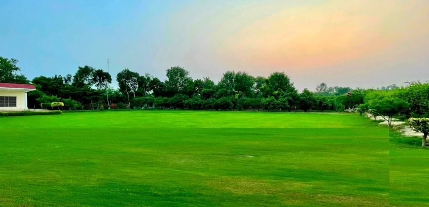 RAIWIND ROAD FARMHOUSE 53