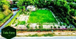 RAIWIND ROAD FARMHOUSE 53