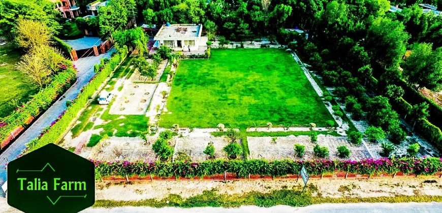 RAIWIND ROAD FARMHOUSE 53