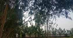 DHA FARMHOUSE 74