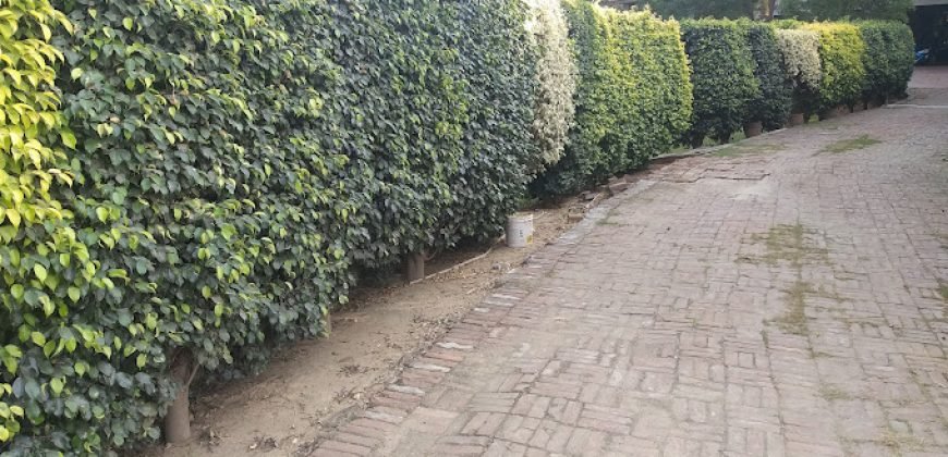 DHA PHASE 5 FARMHOUSE 309