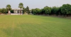 BARKI ROAD FARMHOUSE 107