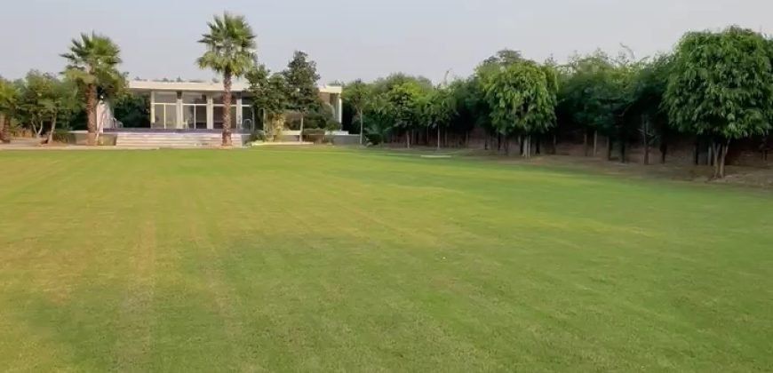 BARKI ROAD FARMHOUSE 107