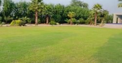 BARKI ROAD FARMHOUSE 107