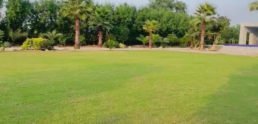 BARKI ROAD FARMHOUSE 107