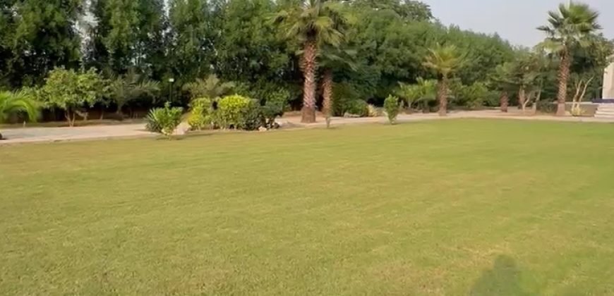 BARKI ROAD FARMHOUSE 107