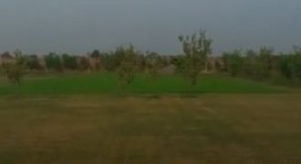 BARKI ROAD FARMHOUSE 143