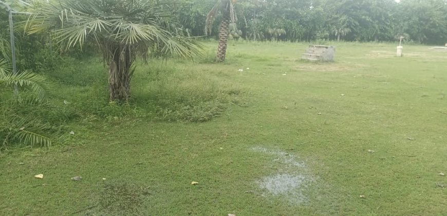 MULTAN ROAD FARMHOUSE 106