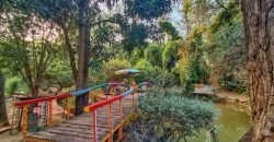 QASOR ROAD FARMHOUSE 10