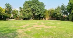 RAIWIND ROAD FARMHOUSE 165