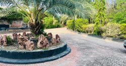 RAIWIND ROAD FARMHOUSE 165