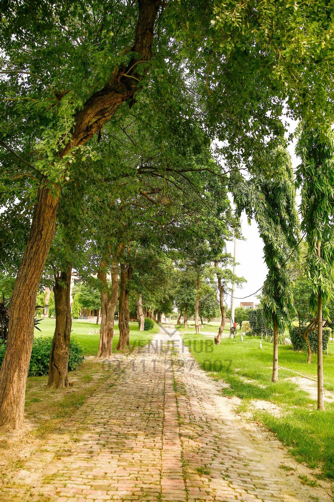 DHA FARMHOUSE 131