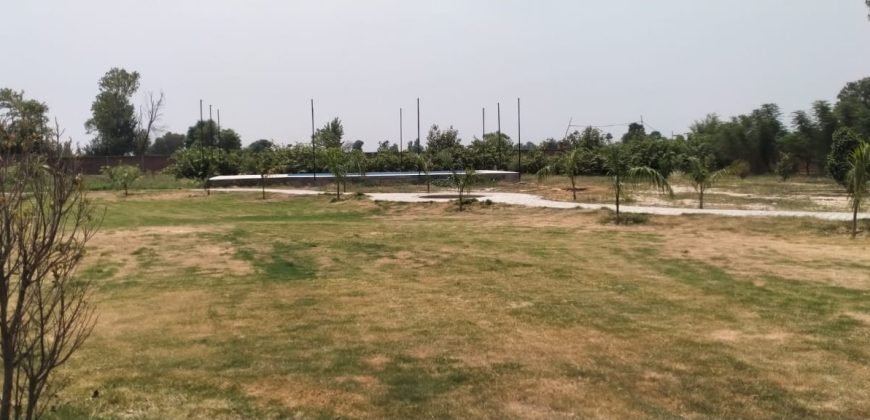 BEDIAN ROAD FARMHOSUE 111