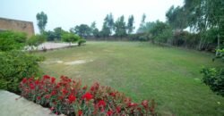 BEDIAN ROAD FARMHOUSE 219