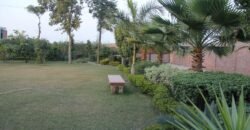 BEDIAN ROAD FARMHOUSE  234