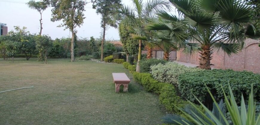 BEDIAN ROAD FARMHOUSE  234