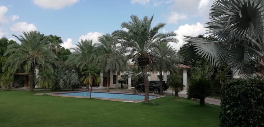 BEDIAN ROAD FARMHOUSE 207