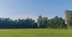 BEDIAN ROAD FARMHOUSE 190