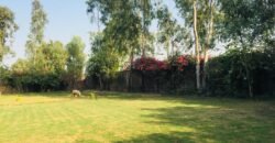 BEDIAN ROAD FARMHOUSE 219