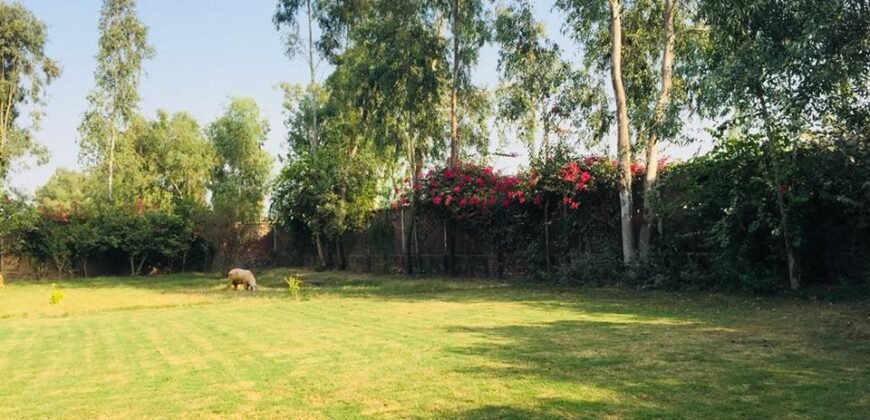 BEDIAN ROAD FARMHOUSE 219