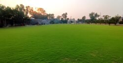 BEDIAN ROAD FARMHOUSE  200