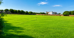 GREEN ACRE FARMHOUSE  221