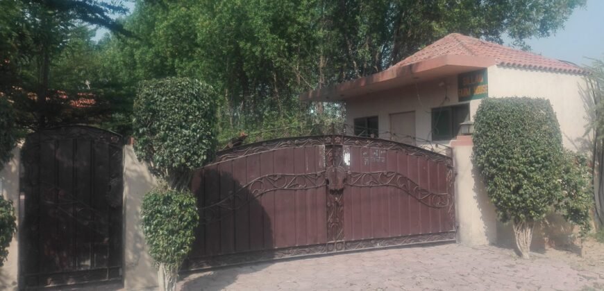 BEDIAN ROAD FARMHOUSE 176