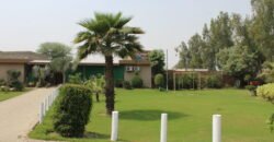 BEDIAN ROAD farmhouse 228