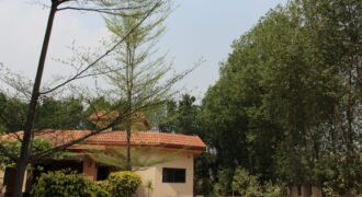 BEDIAN ROAD FARMHOUSE 176