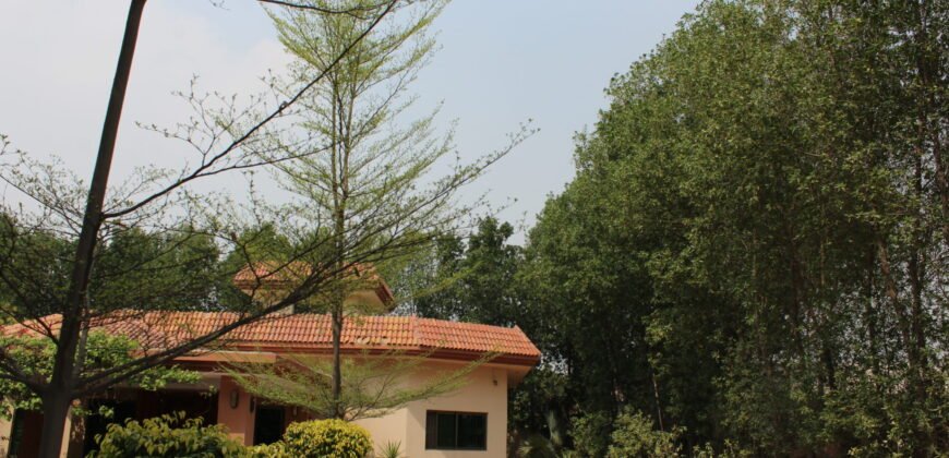BEDIAN ROAD FARMHOUSE 176