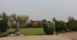 BEDIAN ROAD FARMHOUSE  234