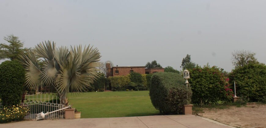 BEDIAN ROAD FARMHOUSE  234