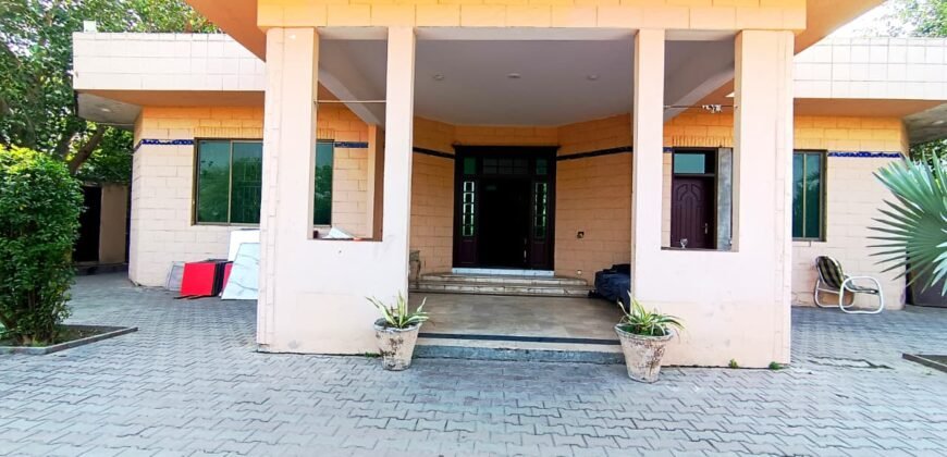 DHA FARMHOUSE 202