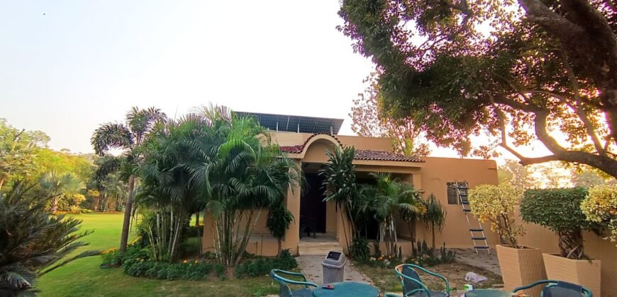 BEDIAN ROAD FARMHOUSE 174