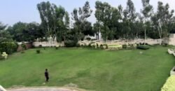 BAHRIA TOWN FARMHOUSE 203
