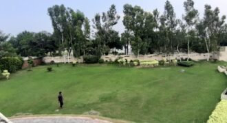 BAHRIA TOWN FARMHOUSE 203