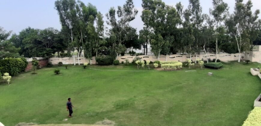 BAHRIA TOWN FARMHOUSE 203