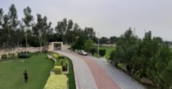 BAHRIA TOWN FARMHOUSE 203