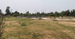 BEDIAN ROAD farmhouse 226