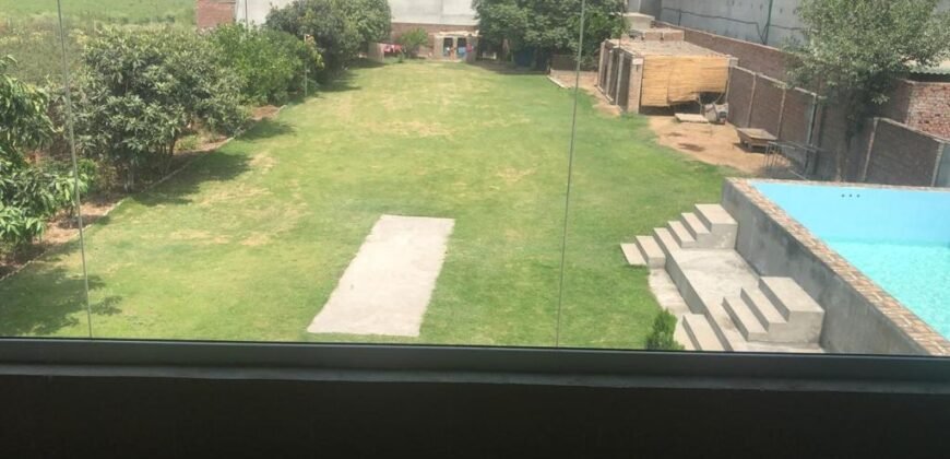 SHAHDARA farmhouse 229
