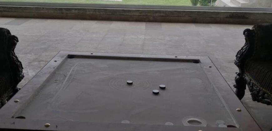 SHAHDARA farmhouse 229