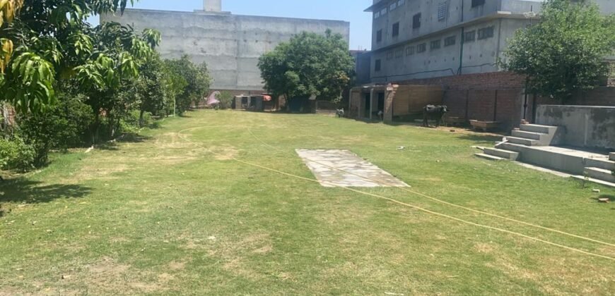 SHAHDARA farmhouse 229