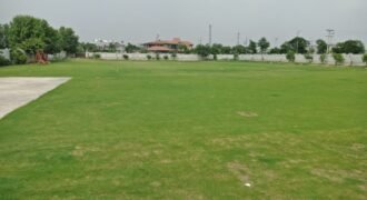 BARKI ROAD FARMHOUSE   217